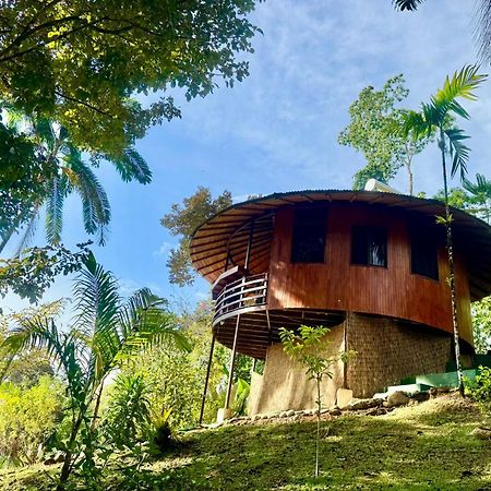 Paradiselodge Jungleguesthouse Platanillo Extérieur photo