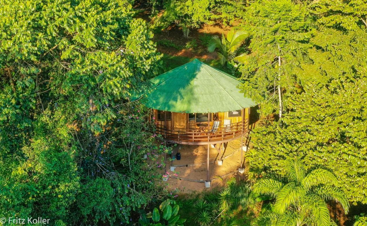 Paradiselodge Jungleguesthouse Platanillo Extérieur photo