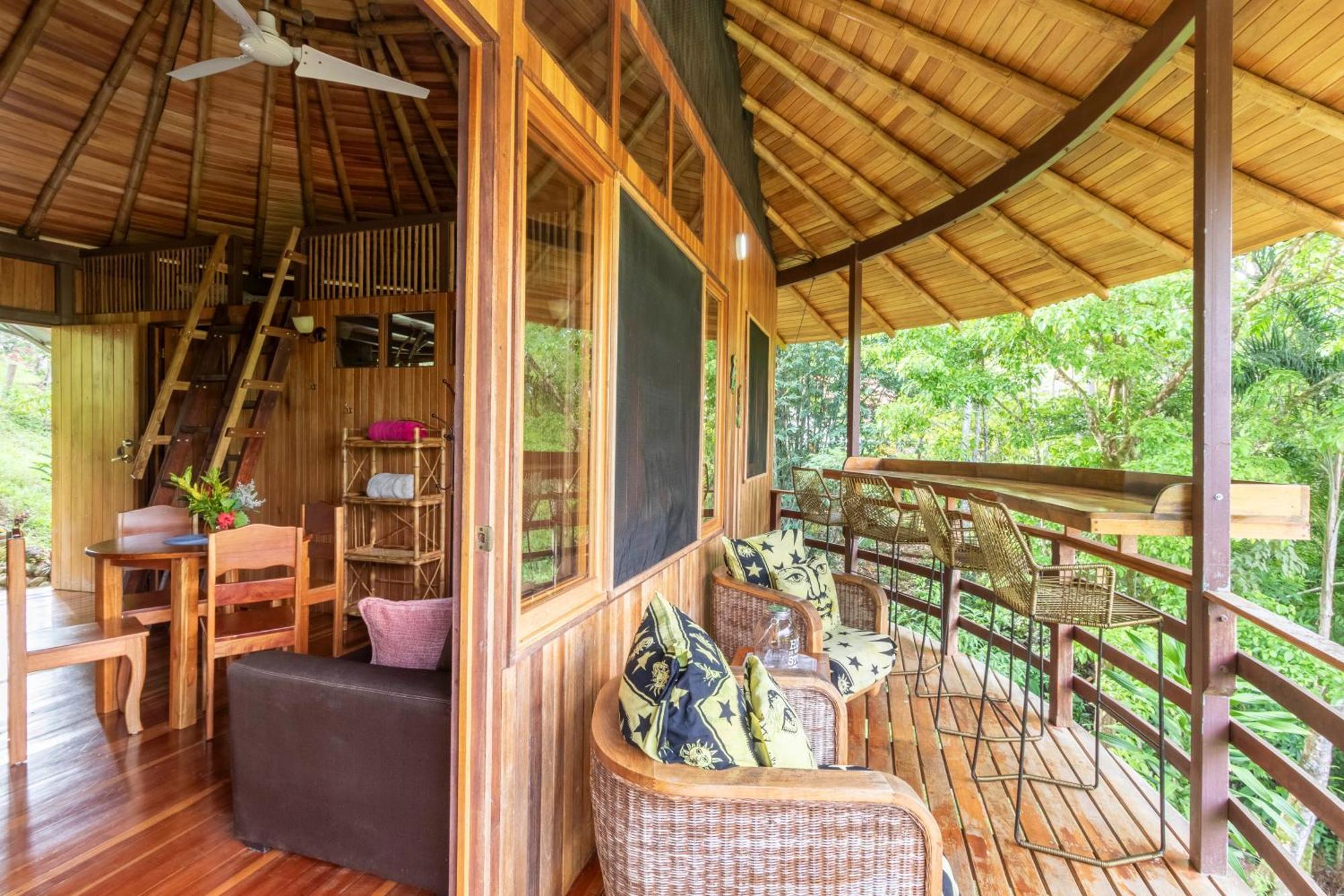 Paradiselodge Jungleguesthouse Platanillo Extérieur photo