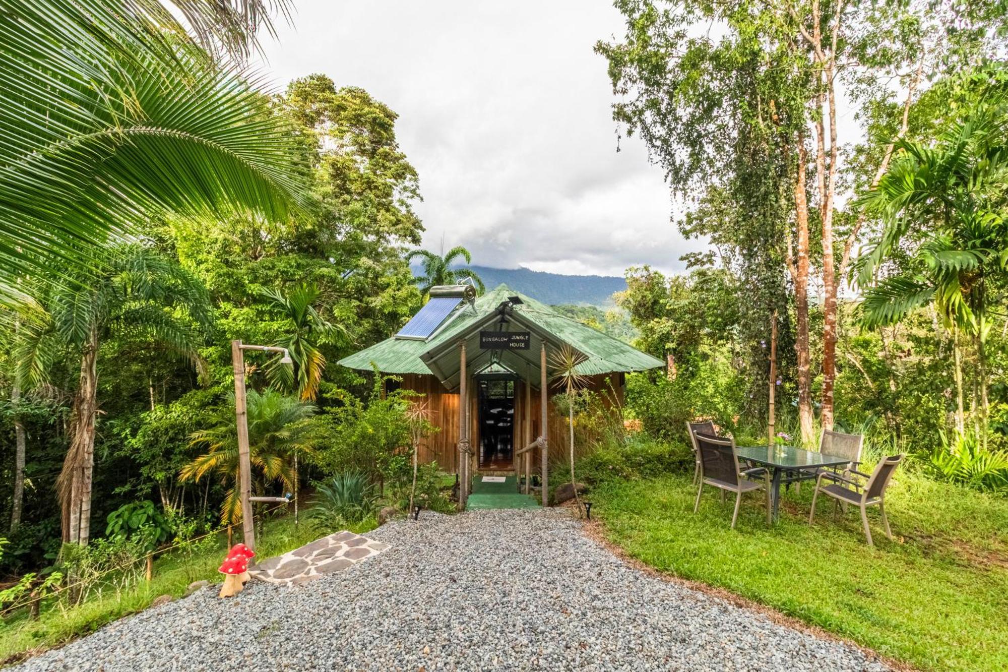 Paradiselodge Jungleguesthouse Platanillo Extérieur photo