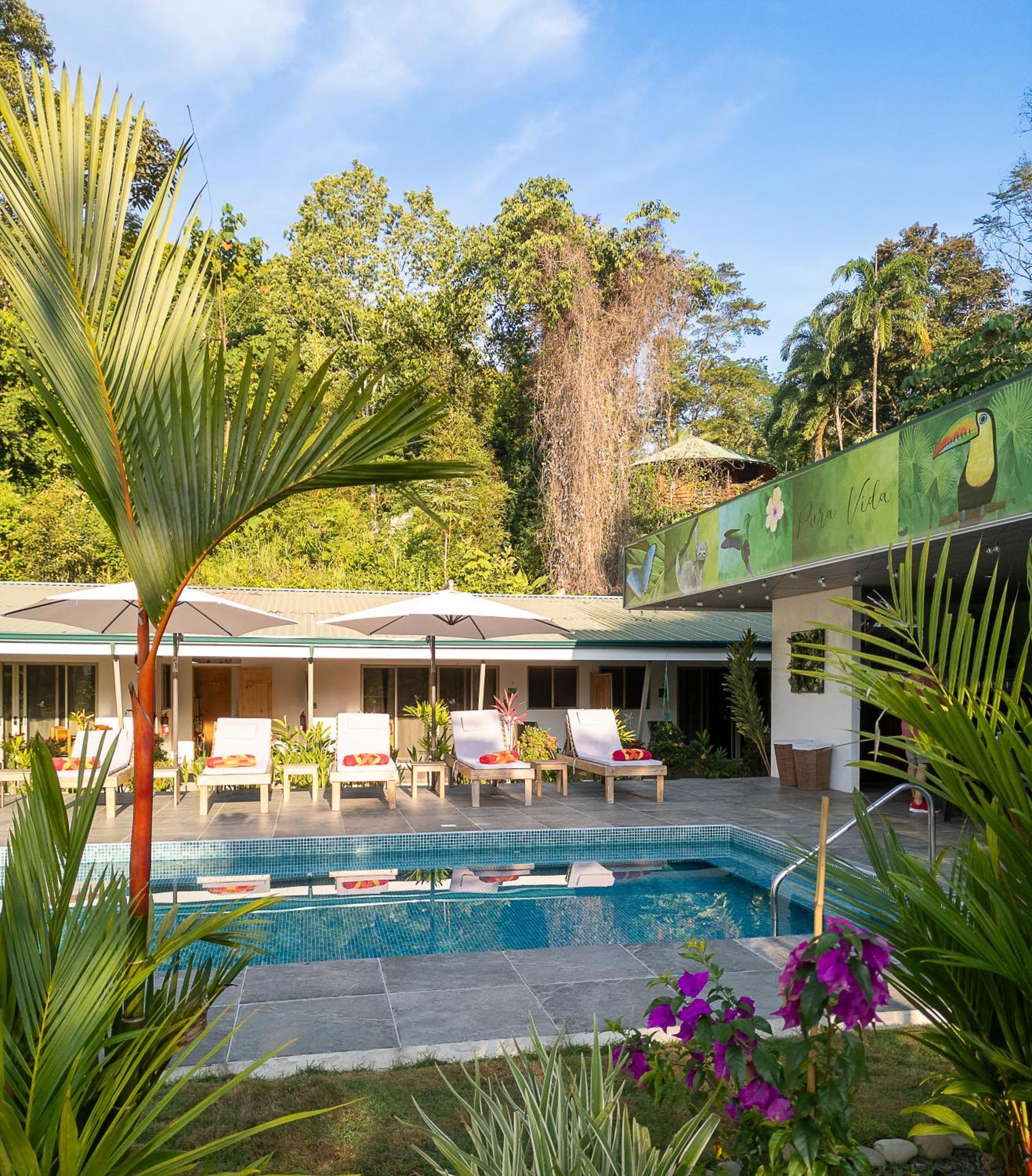 Paradiselodge Jungleguesthouse Platanillo Extérieur photo