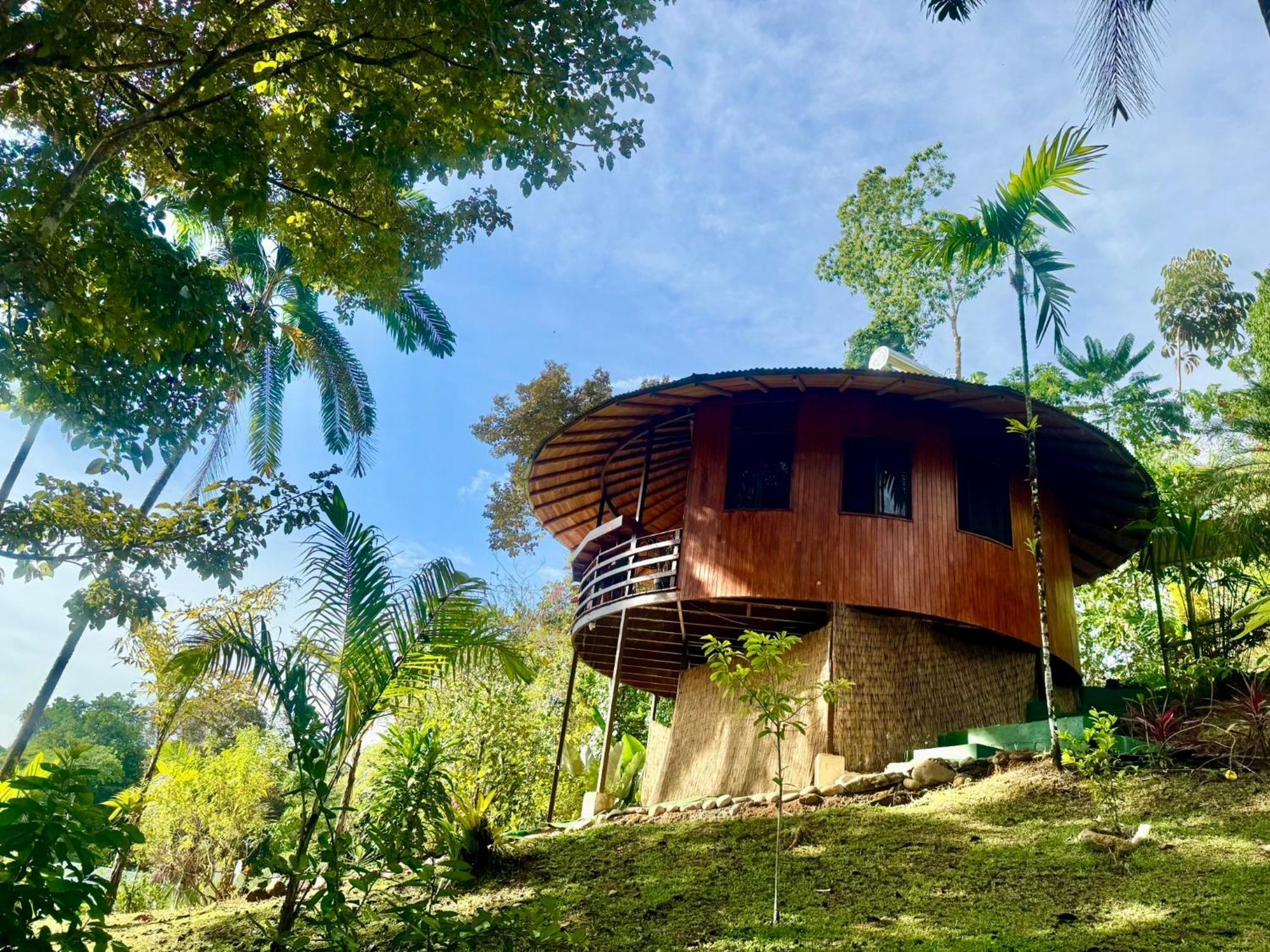 Paradiselodge Jungleguesthouse Platanillo Extérieur photo