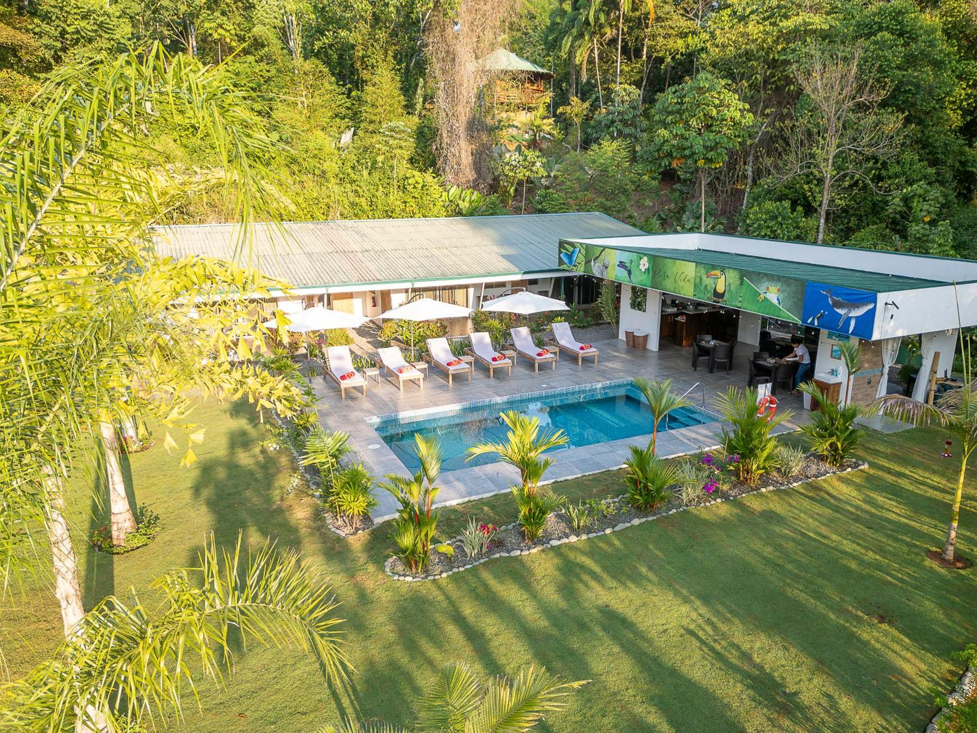 Paradiselodge Jungleguesthouse Platanillo Extérieur photo