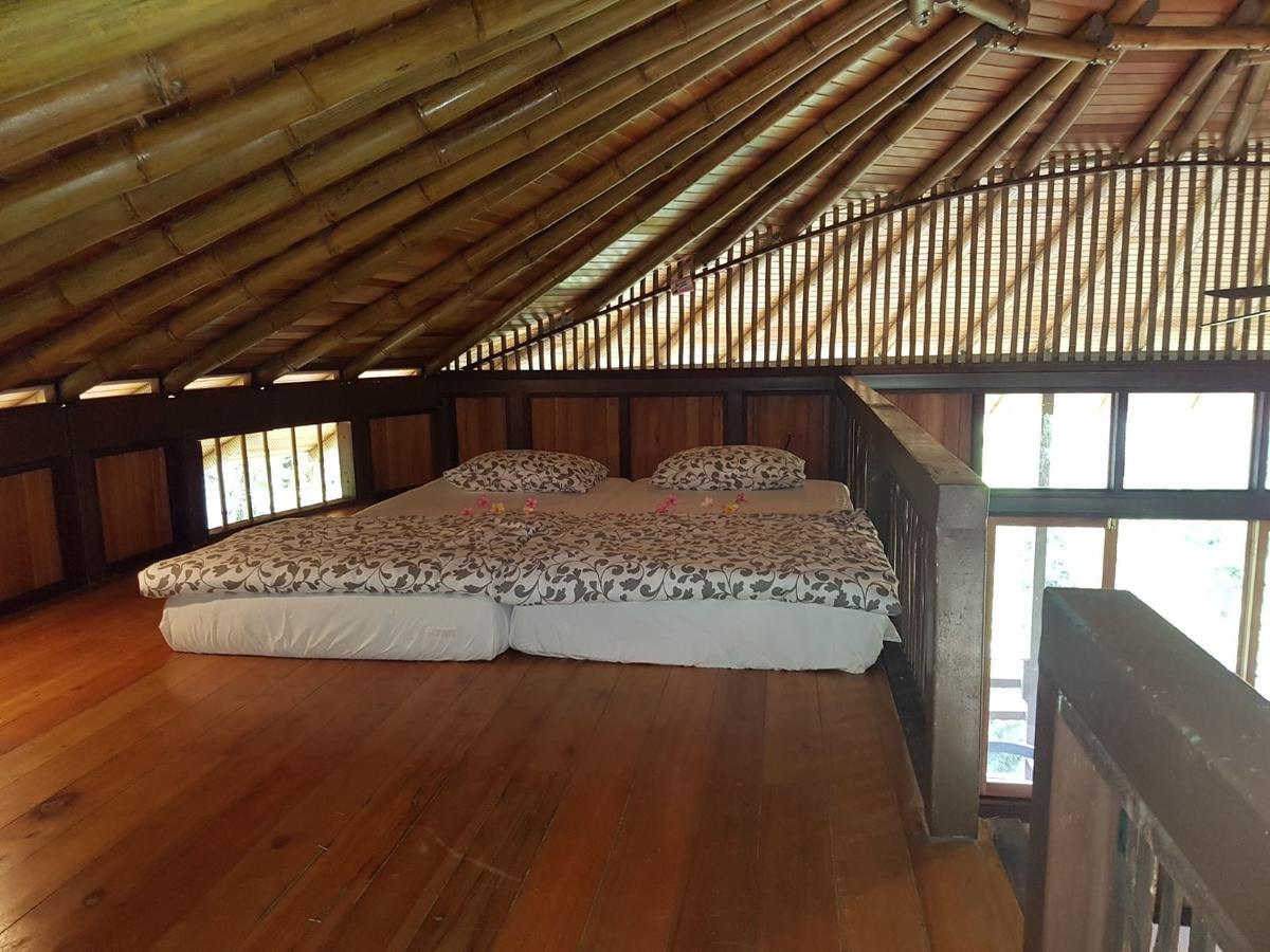 Paradiselodge Jungleguesthouse Platanillo Extérieur photo