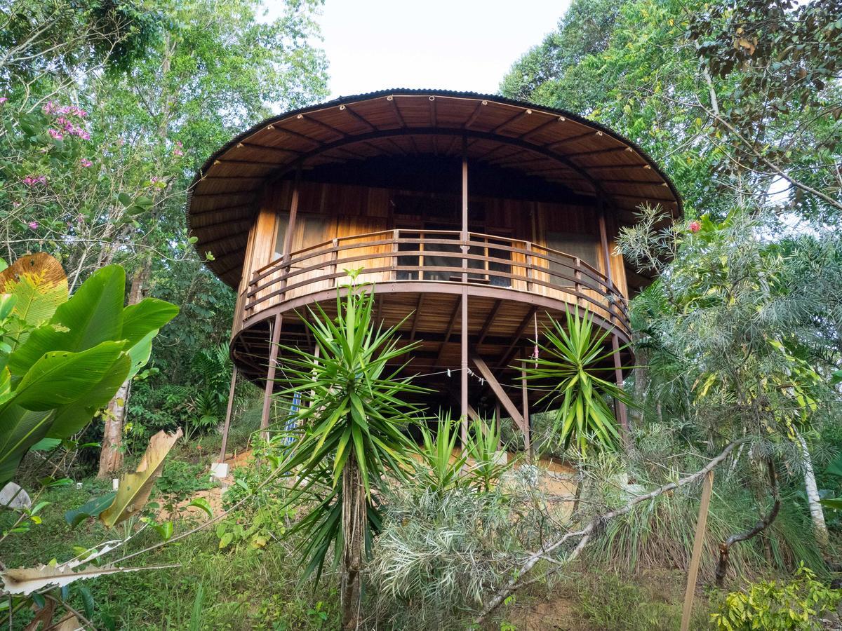 Paradiselodge Jungleguesthouse Platanillo Extérieur photo