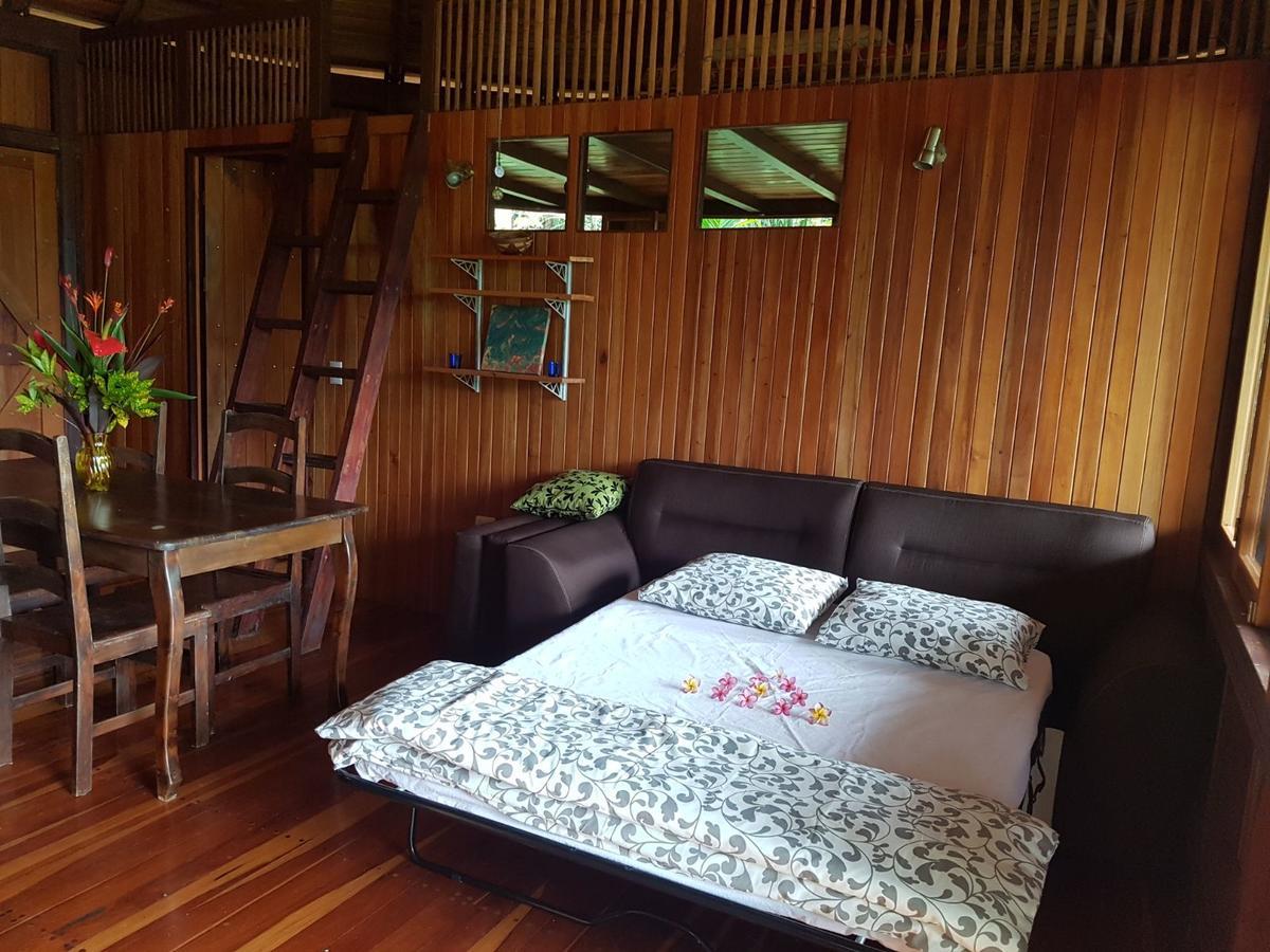 Paradiselodge Jungleguesthouse Platanillo Extérieur photo